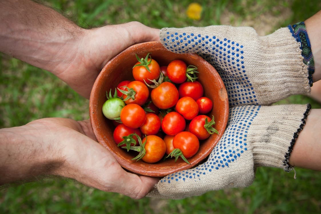 Local Canada farm produce